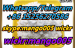 mediacongo